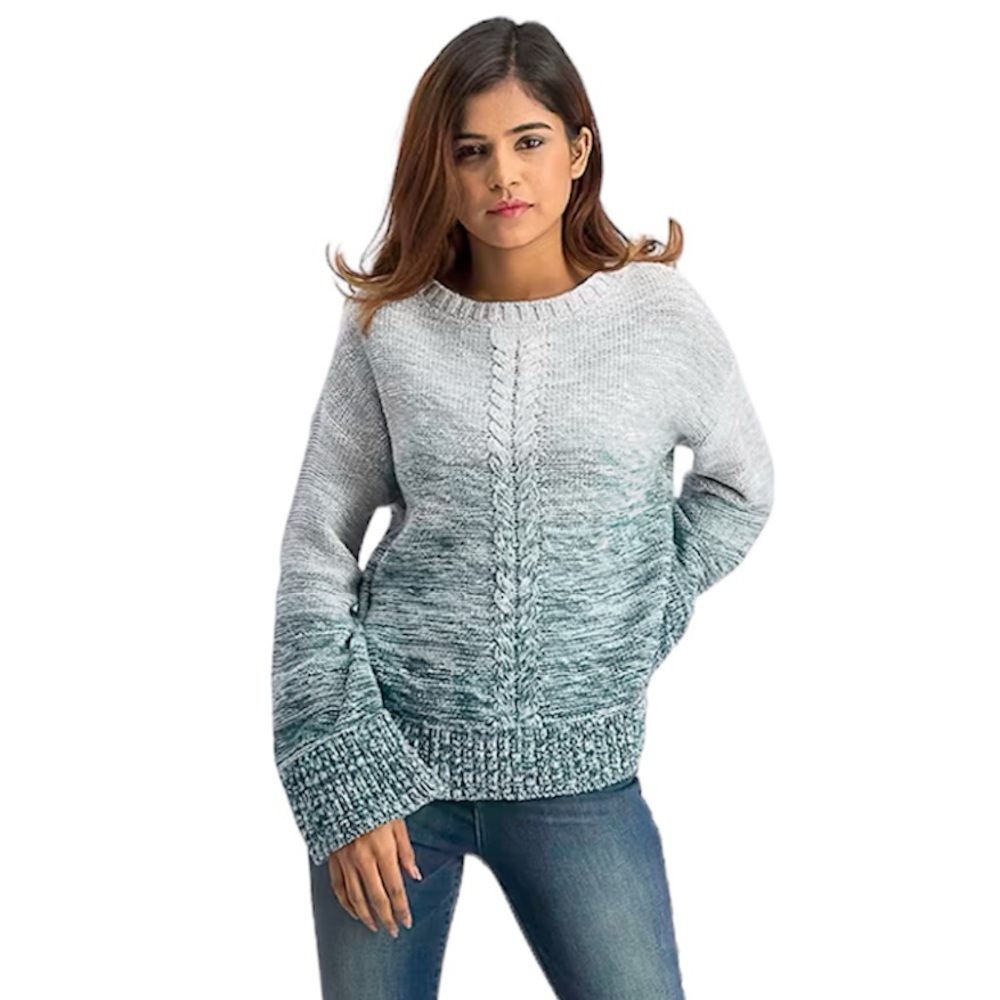 Style & Co Ombre Braid Sweater